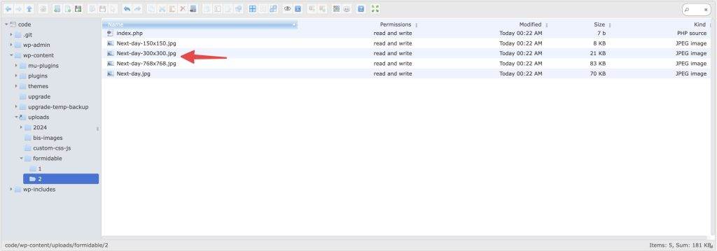 Formidable Forms disable image thumbnail generation