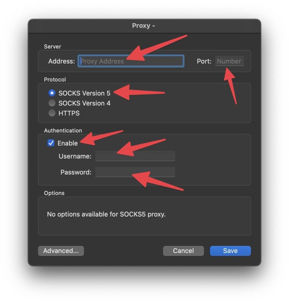 Proxifier Proxy Setup