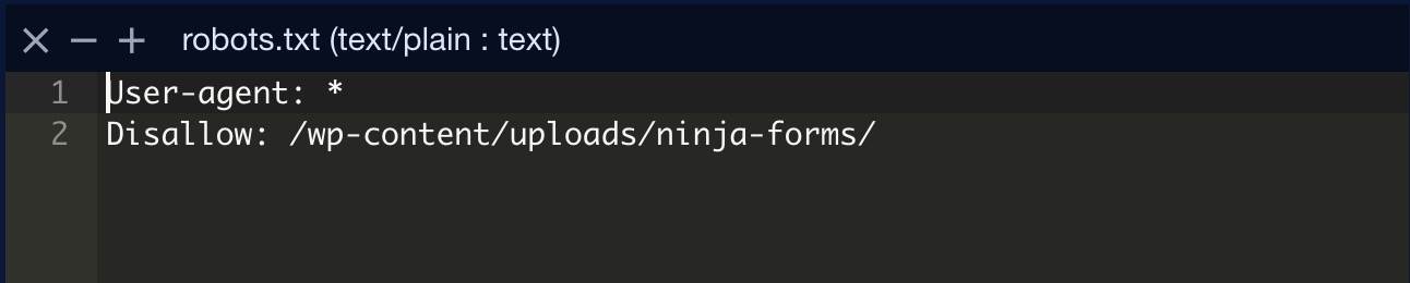 robots.txt file robots.txt file